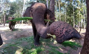 C360_2017-02-15-11-32-16-277