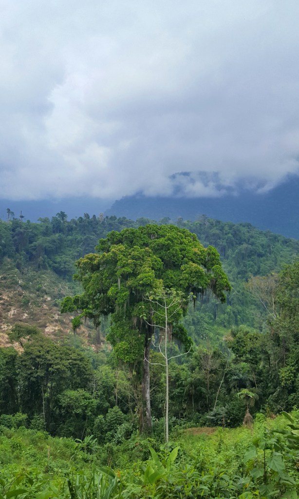 C360_2018-03-09-21-08-45-800