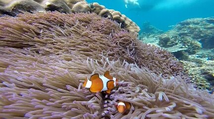 7B82C7BE327AC821A3AFBE71987818D9