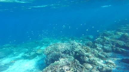 B4AE3968ED520DC76B4C8A34453C4FC9