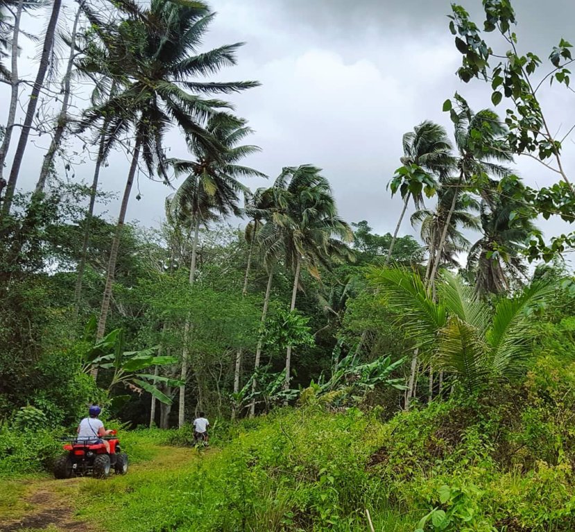 IMG_20180420_230303_433