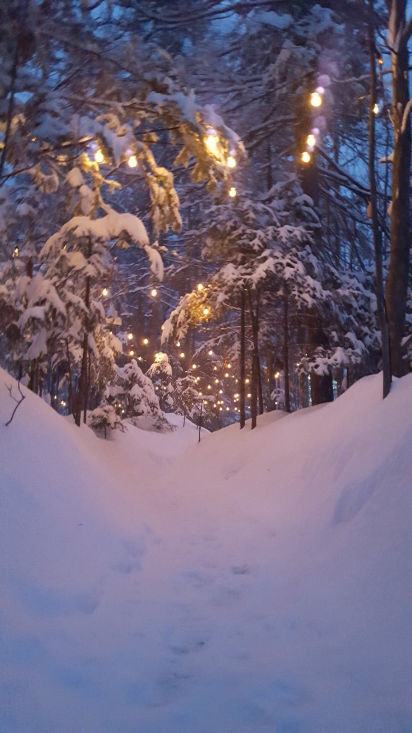 20180204_171118 (2018-02-04T17_11_17.000)